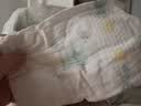好奇（Huggies）小森林纸尿裤S62片(4-8kg)尿不湿心钻【低敏天花板】 实拍图