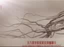 御泥坊黑参胶原棒30支+黑参胶原眼霜15g紧致护肤种草小盒官方旗舰正品 实拍图