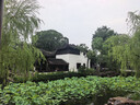 小鹿蓝蓝宝宝山楂棒棒糖【30支】儿童宝宝零食鲜果制作宝宝果条315g 实拍图