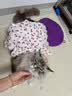 宜品达狗狗衣服夏季甜美可爱风连衣裙猫狗吊带蛋糕裙泰迪比熊透气蓬蓬裙 红色樱桃裙 S码-胸围35背长25【建议3-5斤】 实拍图