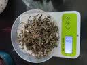 永刚蒲公英 中药饮片 250克 中国药典标准 干货中药材 无硫熏 蒲公英茶 蒲公英根茶  可搭配苦丁茶 【500克】连锁药房直发 实拍图