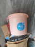 茶花 提水桶14.4L大号塑料桶洗衣泡脚桶洗车储水桶加厚拖把桶* 实拍图