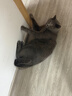 皇家猫粮 英短成猫粮 BS34 通用粮 12月以上 2KG 实拍图