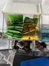 立顿红茶黄牌精选黄山其他红茶2g*80袋泡茶包盒装茶叶酒店专用 实拍图