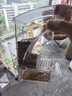 乖卷鹦鹉自动喂食器谷壳分离防洒防溅全透明下料食盒虎皮牡丹鸟类用品 实拍图