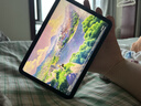 Apple/苹果 iPad mini (A17 Pro) 8.3英寸 平板电脑(256G WLAN版/mini7/MXNA3CH/A)深空灰色 实拍图