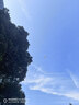 吉列锋隐5致顺1刀架5刀头 差旅便携 5层刀片 手动 剃刮胡须刀 礼物 价格保护 京东自营旗舰非吉利 防刮伤免须泡 实拍图
