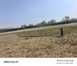 左西童装男童裤子2026新款儿童运动裤春装中大童弯刀裤潮 深藏青 140 实拍图