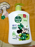 滴露（Dettol）洗手液抑菌消毒 茉莉绿茶清香500g*2 儿童洗手液家庭 迪士尼 实拍图