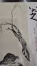 经典全集 八大山人画集 8开中国画临摹画册书籍写意水墨国画山水花鸟鱼虫技法教材高清册页 朱耷花卉禽鸟名作赏析鉴赏 杨建飞主编 实拍图