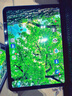 Apple/苹果 iPad 11英寸 A16芯片2025年款 平板电脑 (256GB WLAN版/学习办公娱乐)蓝色 实拍图
