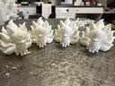 拓竹P2S 3D打印机器大尺寸儿童FDM家用桌面打印机高精度高速AI监测外吸气冷却烘干 【组合1】P2S多色套装+3卷PLA耗材+LED灯 实拍图