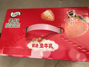 蒙牛真果粒葡萄味牛奶饮品250g*12盒  礼盒新老包装 含乳饮料端午礼盒 实拍图