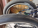 大行（DAHON）折叠自行车20英寸8级变速经典P8单车KBC083 渐变蓝经典版--京仓 实拍图