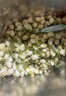福茗源花草茶 茉莉花苞 特级品质横县三伏晴天茉莉花茶花蕾养生花茶100g 实拍图