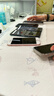 Apple/苹果 Pencil Pro 磁吸触控笔手写笔苹果笔电容笔书写绘画iPad笔 适用于iPad Pro/Air/mini机型 实拍图