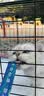 鲜朗主食猫条磷虾三文鱼油营养全价成猫幼猫湿粮无添加非零食补水湿粮 三文鱼味【12g/支】 48支【囤货装】 实拍图