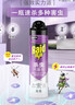 雷达（Raid）杀虫剂喷雾550ml*2瓶无香型家用室内杀虫气雾剂 蟑螂药 灭蟑螂 实拍图