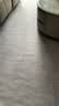 布迪思地毯客厅卧室书房 现代简约北欧轻奢防滑茶几毯 轻烟 实拍图