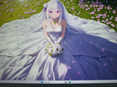 华硕VG27AQML5A-W 27英寸显示器2K 240Hz显示器FastIPS原生300HzG-sync 0.3ms响应HDR400 95%DCI-P3 实拍图