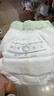 babycare金山茶花拉拉裤XL34片(12-17kg)婴儿尿不湿超薄透气新生柔花苞裤 实拍图