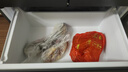 海尔「小红花系列」456L法式多门电冰箱2026新款抗菌双净化超薄风冷无霜BCD-456WGHFDEDB7U1国家补贴 实拍图