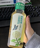 农夫山泉东方树叶红茶500ml*15瓶无糖茶饮料0糖0脂0卡整箱装解渴饮品 实拍图