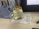 几物森林玻璃杯茶杯茶水分离泡茶杯过滤家用耐热装开水杯子 蘑菇杯500ml 实拍图
