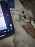 iQOO Pad5 Pro 12GB+256GB 银翼 国家补贴 13英寸游戏电竞大屏 蓝晶×天玑9400+ 平板电脑 vivo 实拍图