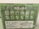 麦格萌儿童玩具女孩魔术道具3-6-10岁生日礼物4女生5益智女童小学生礼物 花语小精灵【微景观39件套】 7-8-12-14岁61六一儿童节礼物2026年火的最玩具 实拍图