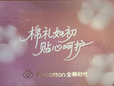 全棉时代女士高腰【年度热销款5A抗菌】高弹不变形不闷汗内裤女3条装 实拍图