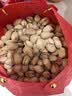 品铺掌柜 无漂白开口开心果大颗粒罐装孕妇每日坚果本色干果零食散装 新货精品大罐装(500g×1罐） 实拍图