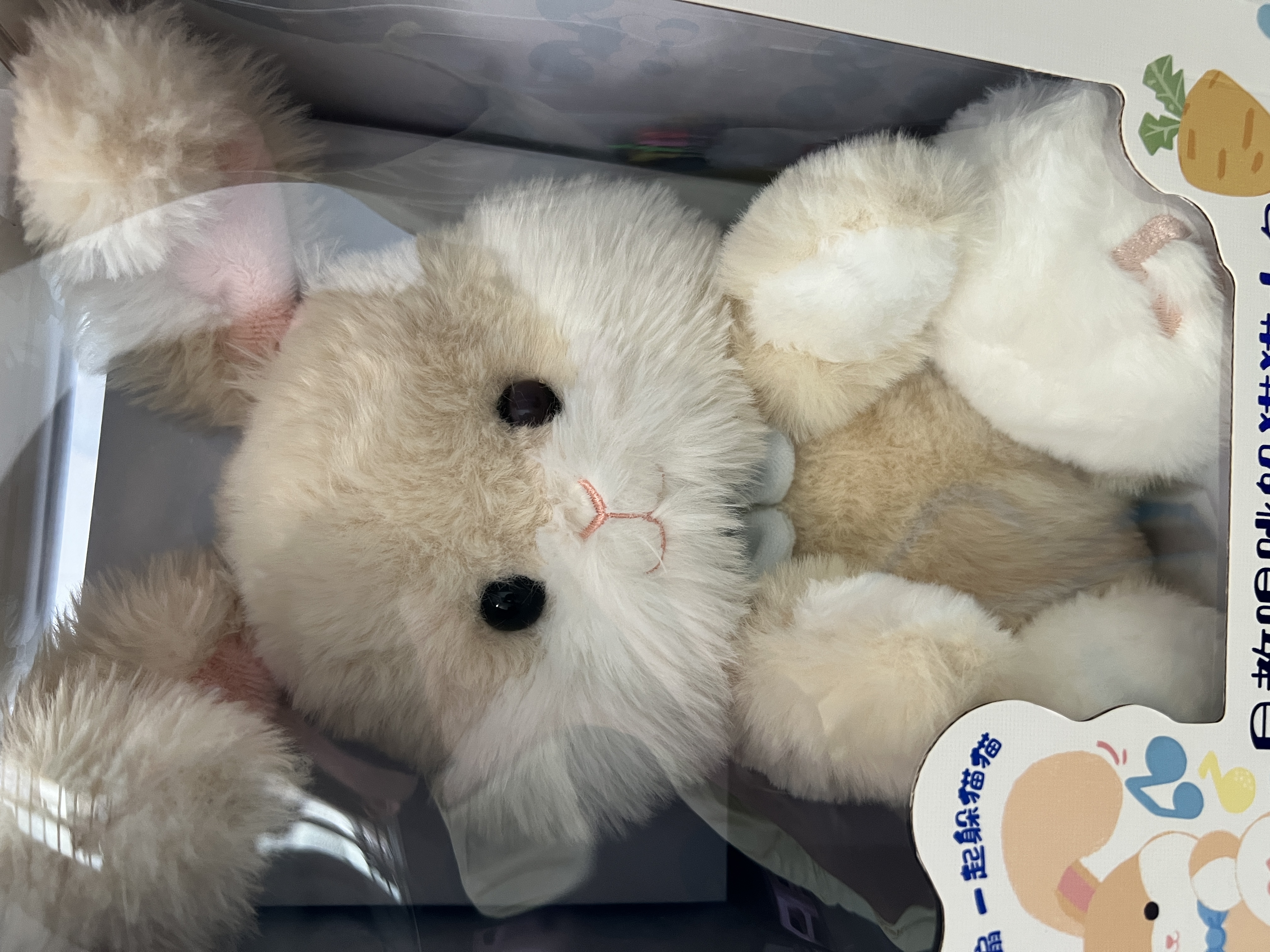 澳贝（auby）婴幼儿玩具宝宝早教唱跳躲猫猫安抚小兔毛绒玩偶生日新生儿见面礼 实拍图