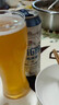 青岛啤酒（TsingTao）经典拉格 550ml*18罐 加量不加价 整箱装 618超市热卖 实拍图