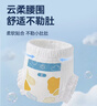 京东京造婴儿拉拉裤尿不湿纸尿裤Cloud2.0云柔XXL52片(15kg以上)超薄透气 实拍图