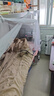 京东京造学生蚊帐宿舍 上下铺蚊帐床上神器大学生宿舍必备-0.9m床 实拍图