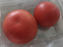 西红柿约550g 实拍图