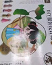 瑞禾儿童女孩玩具diy手工艺品衣服装设计材料包制作创意学生日礼物 实拍图