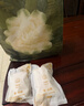 babycare山茶花一次性内裤女孕产妇日抛待产出差旅行XL码15条【安全灭菌】 实拍图