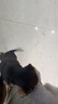 欢宠网宠物猫咪狗狗鞋子狗猫一次性脚套鞋套小型犬小狗猫咪比熊袜子鞋 实拍图