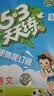 2026春53天天练小学数学六年级下册RJ人教版（便携版）五三天天练53天天练同步练习册活页练习作业本5.3天天练5·3天天练学霸培优学霸提优 实拍图