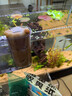 鱼缸黄水过滤清洁神器水族箱吸色片透水净水材料过滤器吸色纸 净水片【买20片送30片】50片装 实拍图