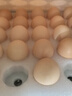 京鲜生 无抗保洁鲜鸡蛋30枚/盒 健康轻食 礼盒送礼 1.5kg/盒 源头直发 实拍图