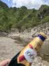 kronenbourg 1664【周翊然同款】百香果味啤酒330ml*9瓶小麦风味精酿整箱装啤酒 实拍图