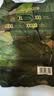 babycare金山茶花婴儿拉拉裤试用装XL码3片(12-17kg)尿不湿超薄透气 实拍图