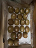 佳沛（zespri）新西兰金果巨大果22粒原箱单果146-175g 端午礼物水果礼盒 猕猴桃 实拍图