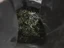 京东京造鲜来多26新茶信阳毛尖绿茶250g明前茶叶栗香嫩芽送礼盒自己喝自营 实拍图
