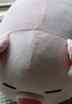 名创优品（MINISO）小猪B-BO弹力超柔趴姿公仔毛绒玩偶儿童玩具抱枕靠枕生日礼物女 实拍图