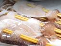 小熊（Bear）绞肉机家用小型 绞馅机 搅肉机 打蒜机电动 碎肉机 辅食机 2026新款家用QSJ-E03C8【保价618】 实拍图