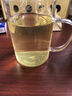 乐品乐茶明前特级毛尖绿茶2026新茶嫩芽春茶自己喝茶叶礼盒装250g送长辈 实拍图